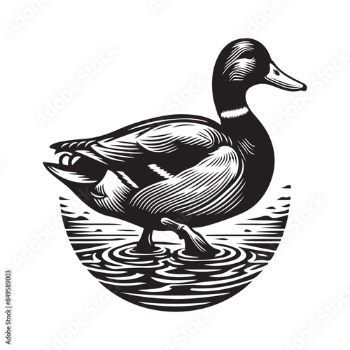 Mallard Duck Silhouette Vector Art Illustration