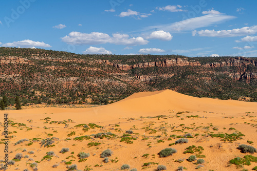 Coral Pink Sand Dunes State Park, Kanab, USA