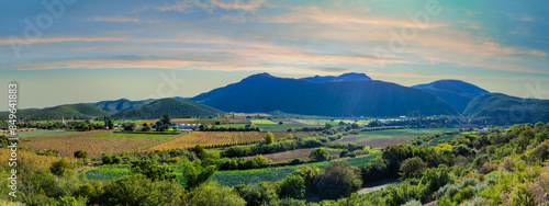 Obraz na płótnie Rows of vines nestle in the valley, surrounded by majestic mountains in Oudtshoorn, Garden route, Western Cape, South Africa w salonie