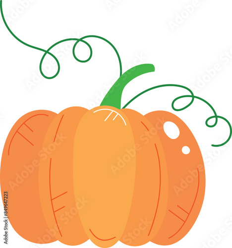 Orange pumpkin illustration green vine isolated white background vector cartoon festive seasonal decoration farming autumn harvest food photo