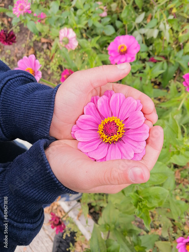A white girl holds a pink gerbera flower in her hands, gently holding it in her hands, with a flower bed in the background. Conservation, careful attitude.