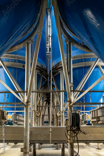 Wallpaper Mural Fresh vegetables processing equipment after harvesting, storage, sorting, washing, cutting, packing, agriculture in Netherlands Torontodigital.ca