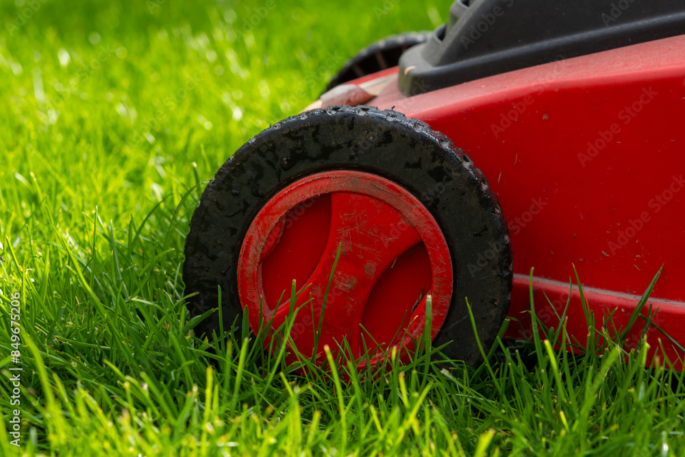 Seasonal maintenance works in garden, lawn movers in action, green grass cutting, lawn care, English lawn Seasonal maintenance works in garden, lawn movers in action, green grass cutting, lawn care, English lawn
