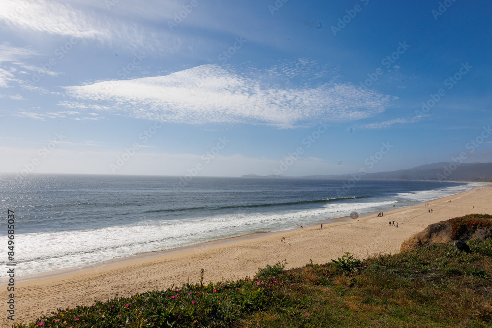 San Francisco area, Half Moon Bay Park with beach, ocean, and wild succulents San Francisco area, Half Moon Bay Park with beach, ocean, and wild succulents