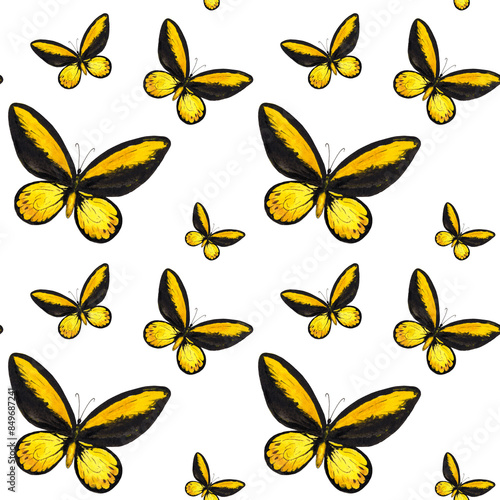 Seamless pattern watercolor hand drawn yellow black butterfly. Summer, spring Illustration day butterfly Ornithoptera croesus for fabric, invitations, scrapbooking, textile, wallpaper, wrapping paper.