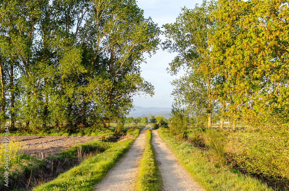land road in a rural agricultural farm area land road in a rural agricultural farm area
