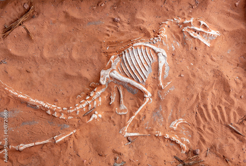 Dinosaur Skeleton Bones in Sand near Moqui Cave Paleontology Museum in Southern Utah US