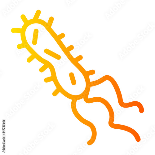 bacterium