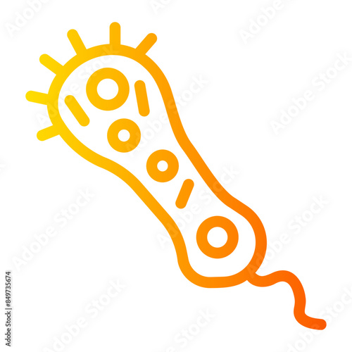 bacterium