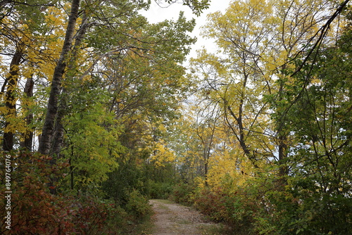 gravel hiking trail passing through an archway of autumn colors