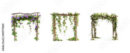 flower vines draped over trellis isolated on white background