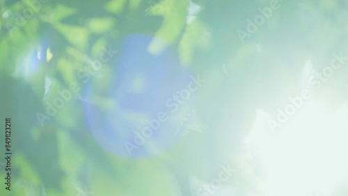 木漏れ日のイメージ