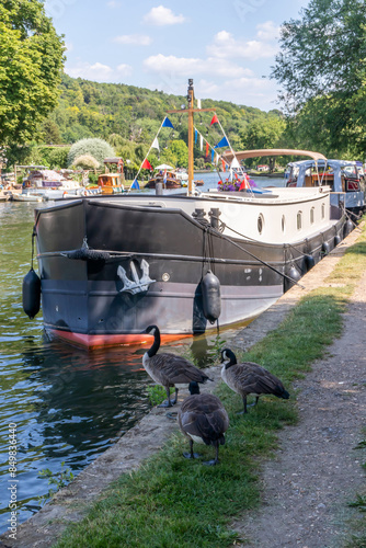 Canada Geese and Barge on the River Thames photo