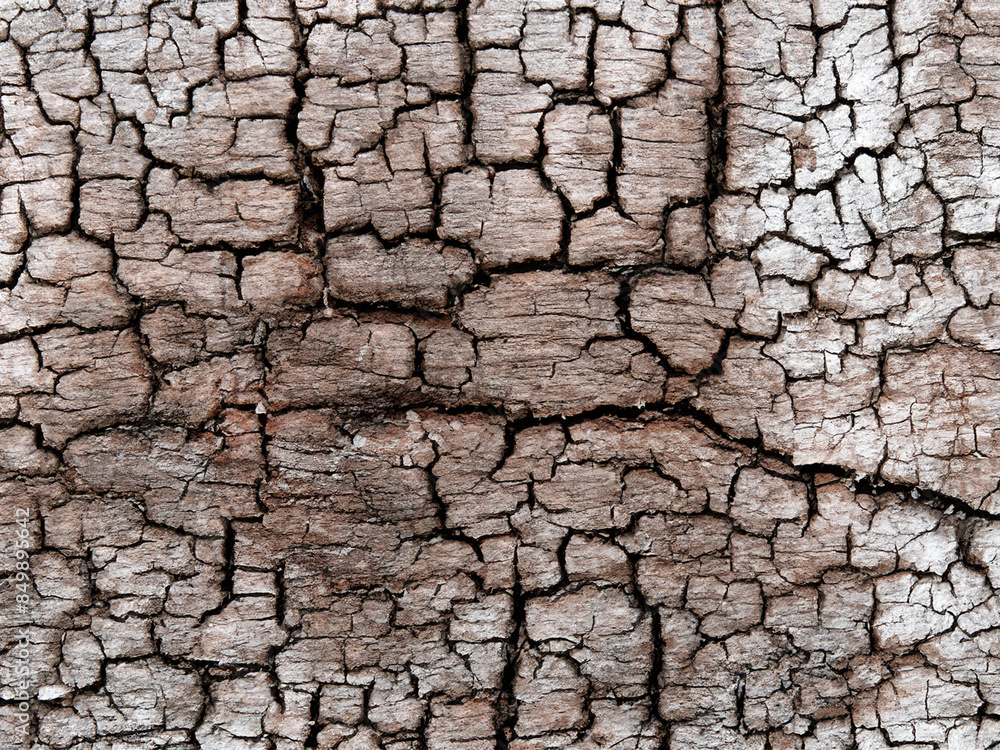 close up old wood texture background. close up old wood texture background.