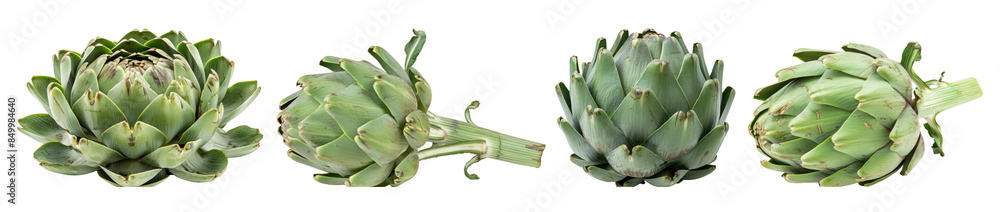 Artichoke vegetable food design set Artichoke vegetable food design set