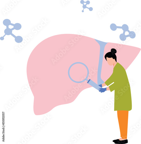 The doctor is examining the liver.