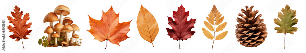 Autumn Collection png cut out element set Autumn Collection png cut out element set