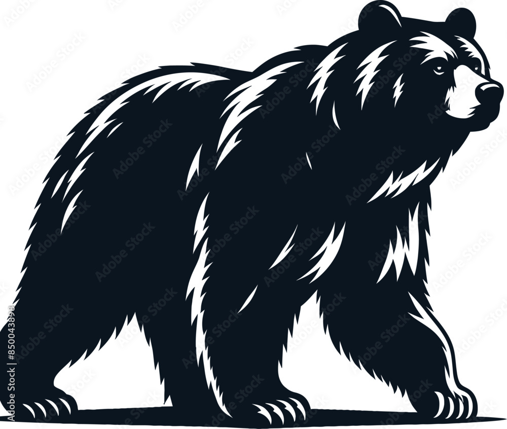 Obraz premium Bear silhouette vector
