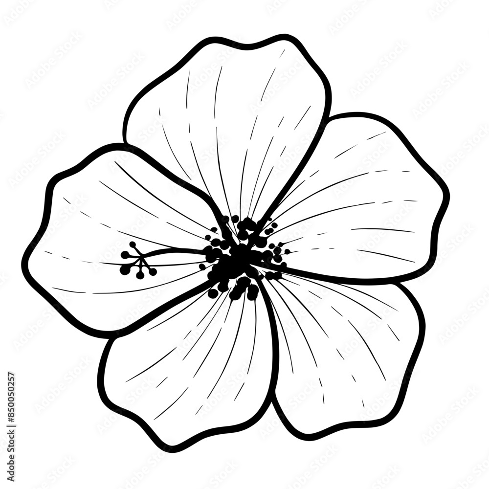 Fototapeta premium flower line art doodle