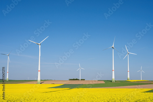 A field of flowering rapeseed with wind turbines seen in Germany