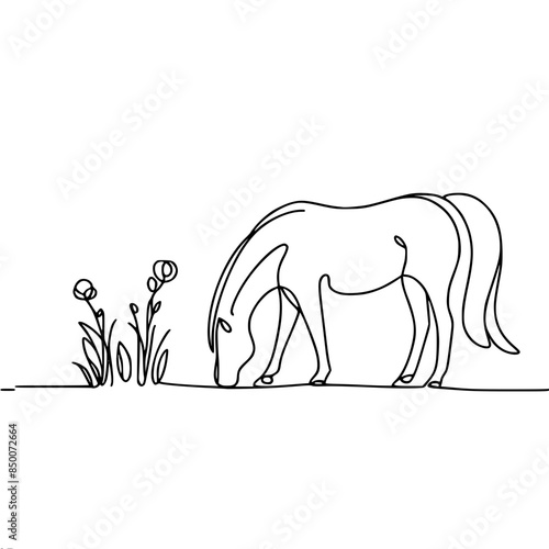 silhouette of a graceful horse grazing in a meadow, nibbling grass, a simple outline vector one-line drawing, black lines on a white background