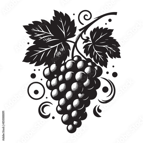 Grapes silhouette. Graphic illustration for grape juice 