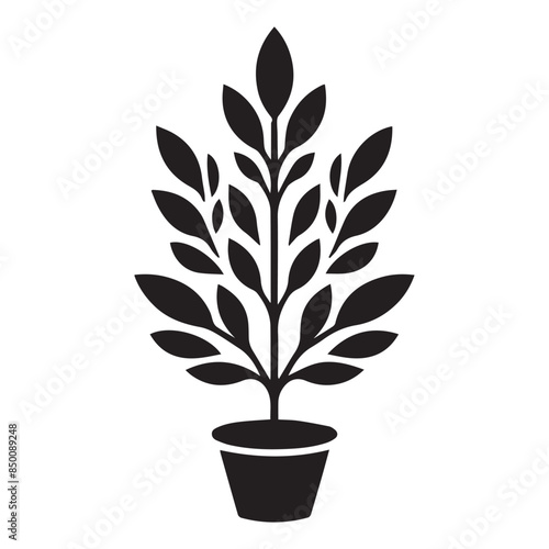 silhouettes of various trees on white background