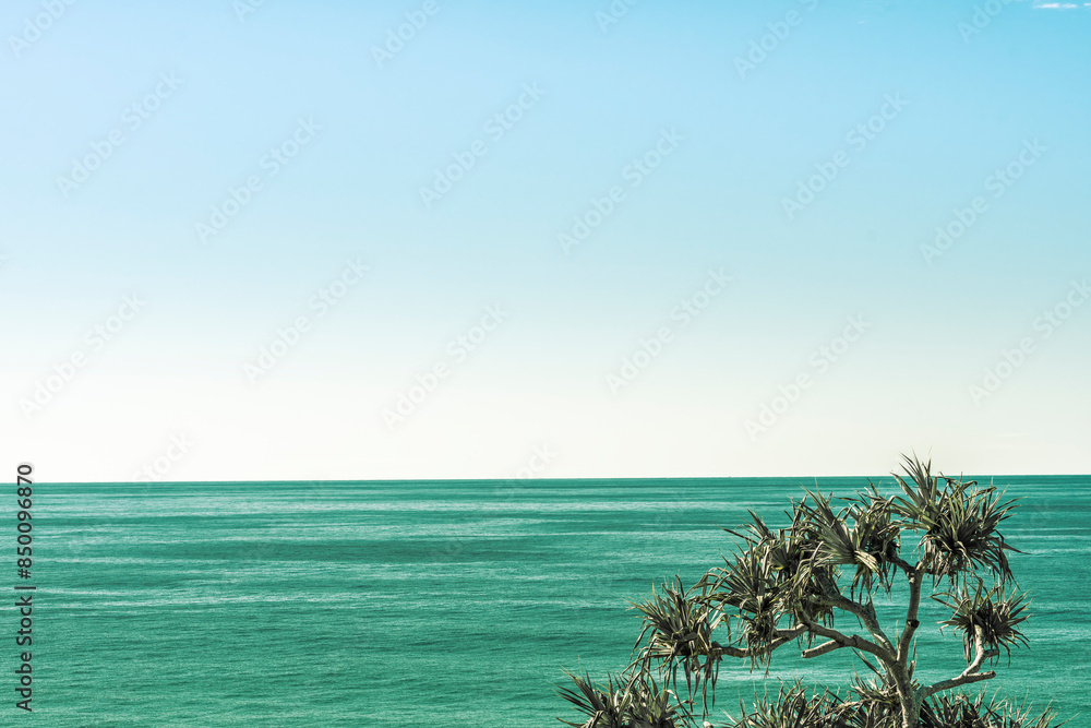Obraz premium Pandanus tree in sea and sky outlook