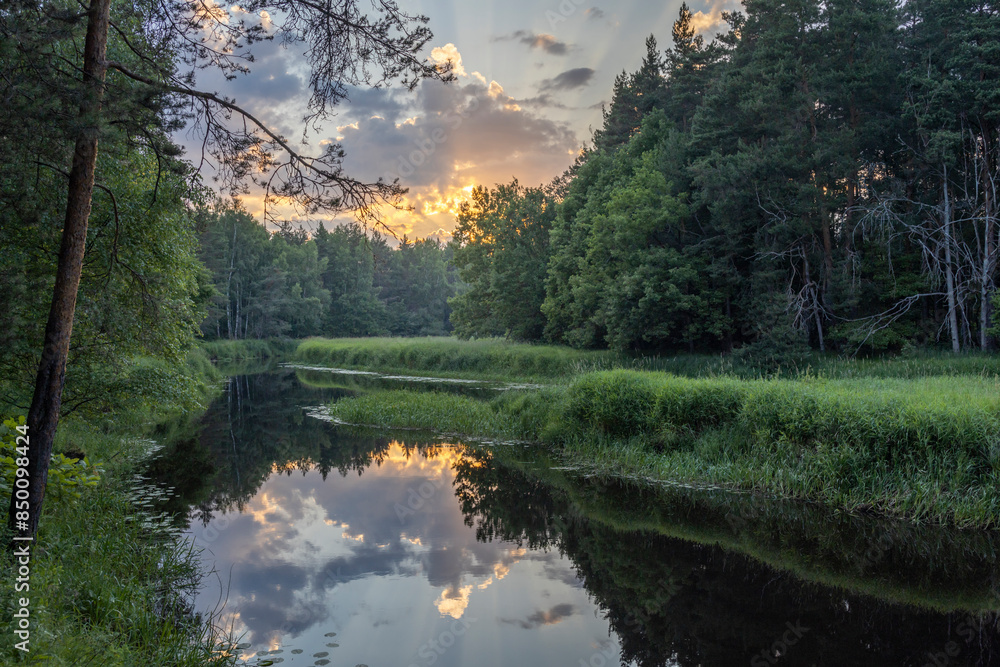 Obraz premium A serene river winds through a lush forest, reflecting the golden hues of a setting sun on its tranquil waters. The surrounding greenery creates a peaceful and picturesque scene.
