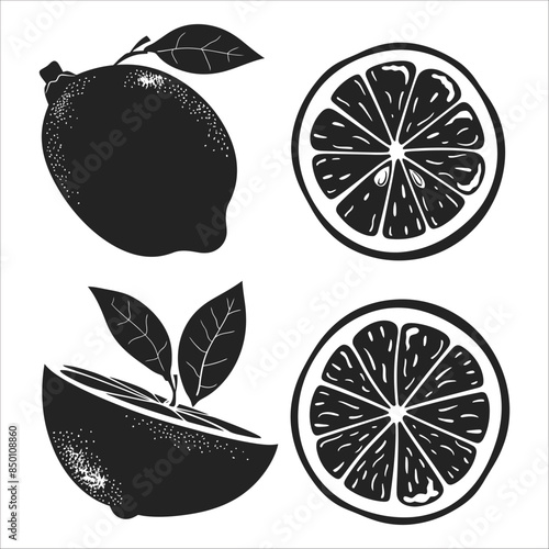  lemons silhouette vector illustration