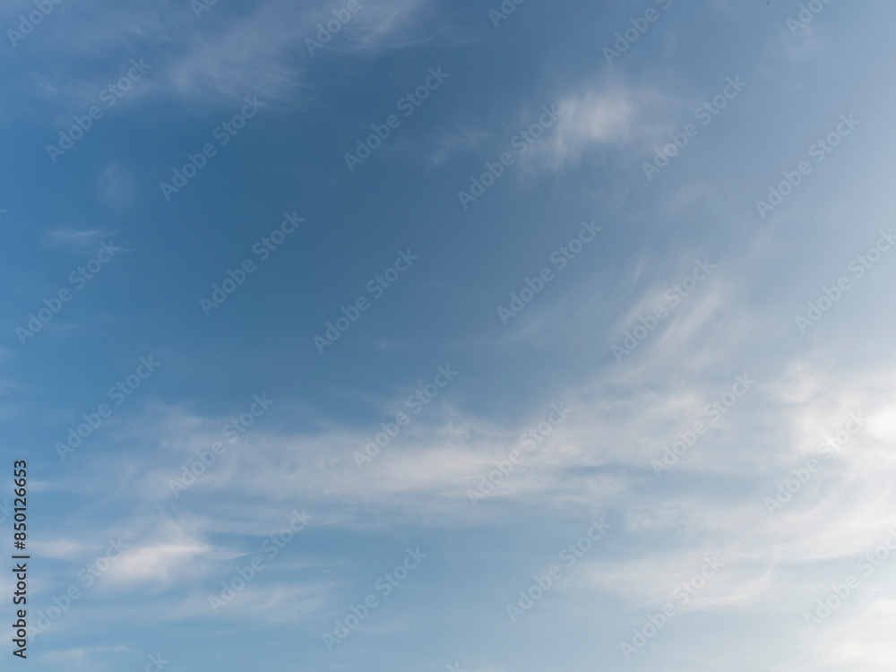 Fototapeta premium 青空と白い雲