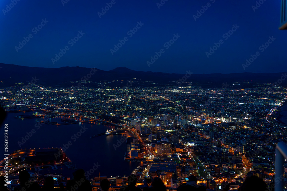 Obraz premium 日本三大夜景(北海道函館市函館山から眺める函館の夜景 )