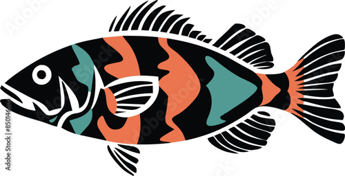 A colorful fish vector illustration