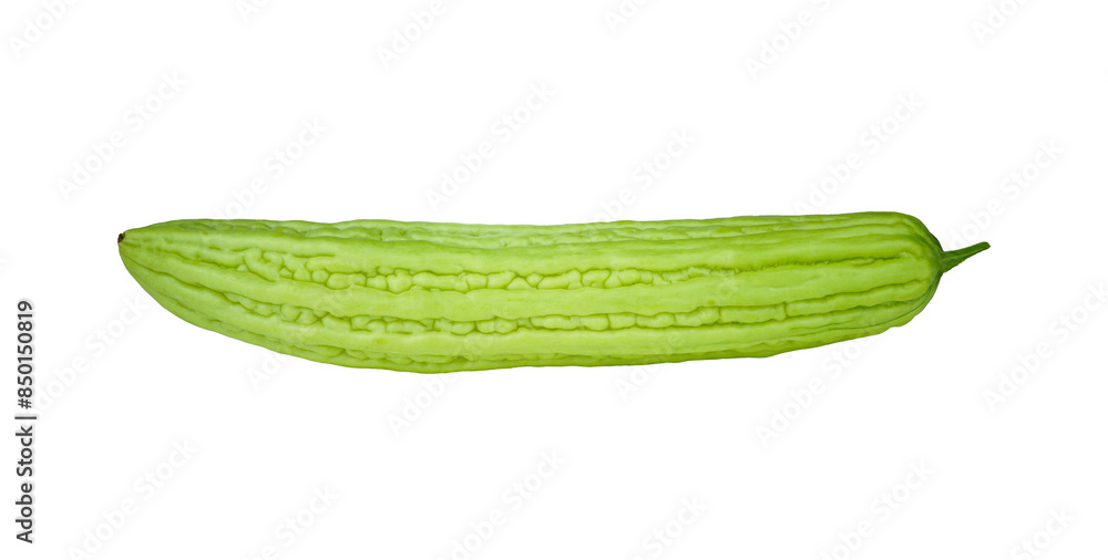 Bitter melon isolated on transparent with png. Bitter melon isolated on transparent with png.