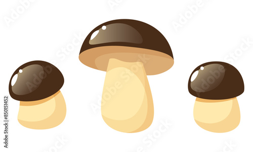 A set of forest mushrooms of different sizes and shapes on a white background. Autumn harvest of boletus and porcini mushrooms. Vector cartoon mushrooms.