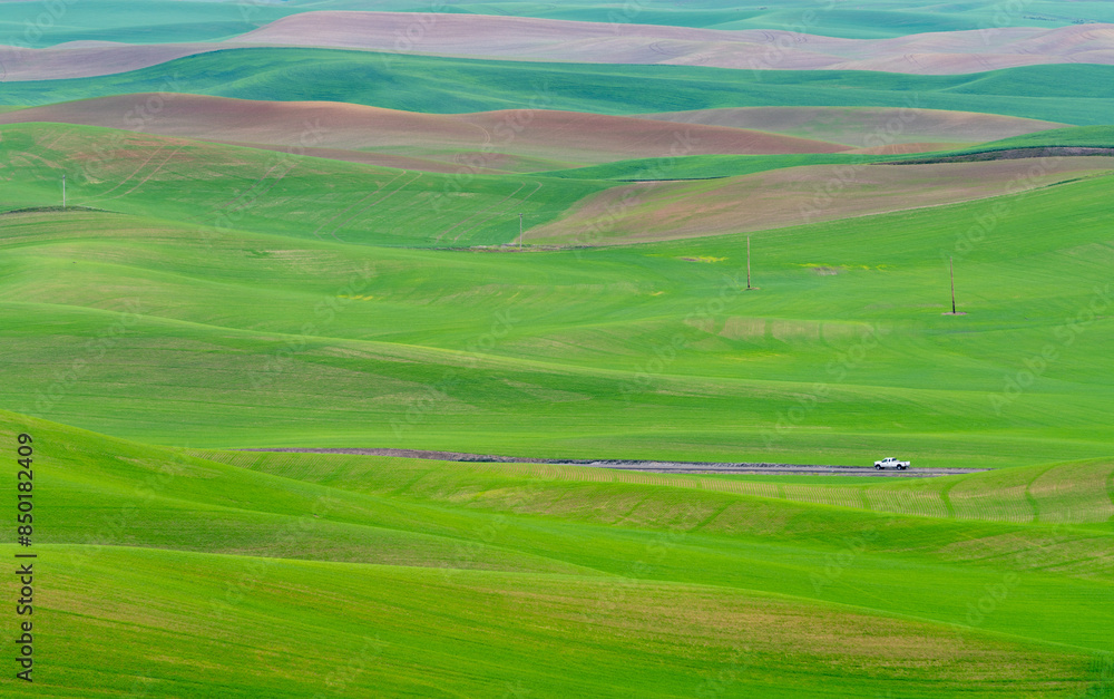 Green wheat field on the rolling hills Green wheat field on the rolling hills