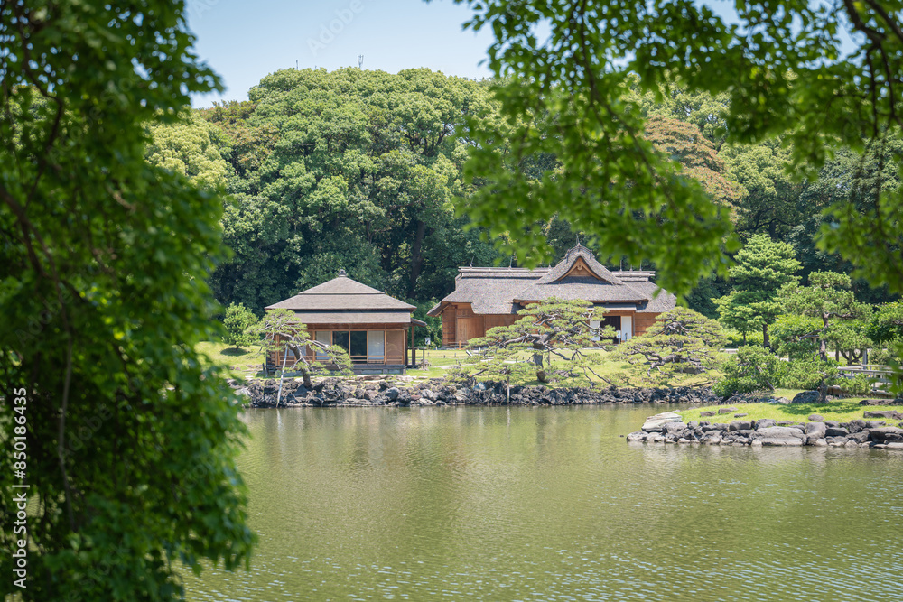 old house in the garden in japan old house in the garden in japan
