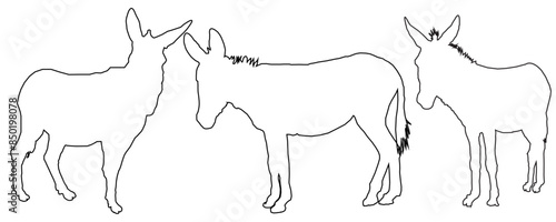 silhouette of a Donkey