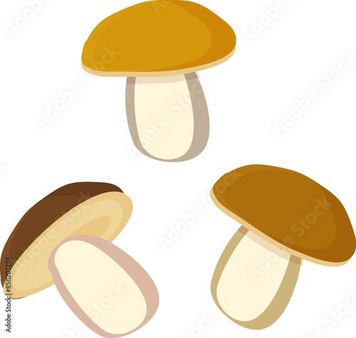 porcini edible mushroom. edible mushroom. Eps 10.cartoon style, flat. Autumn decor.
