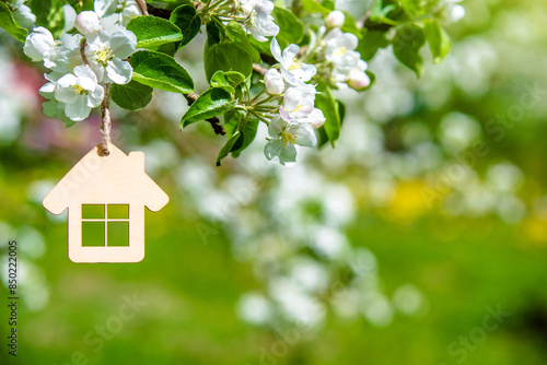 Symbol of the house on the branches of a flowering apple
 photo