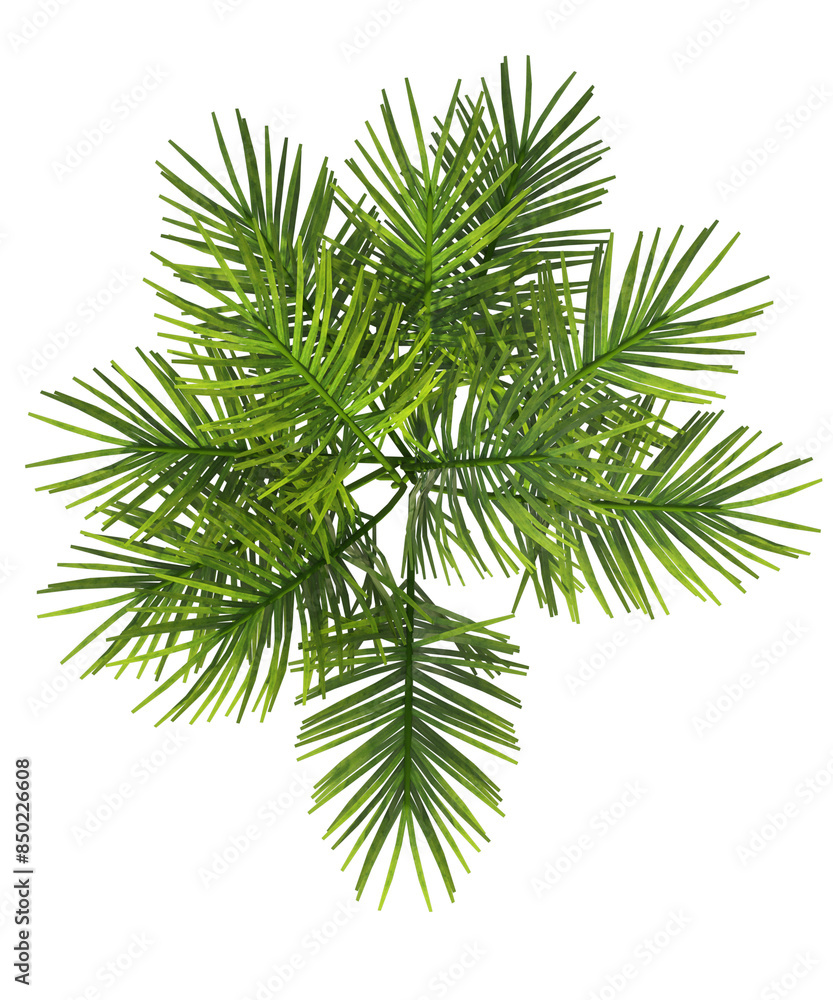 Albero di palma con e senza foglie bianche, arancioni, verdi, gialle, rosse fondo trasparente e isolato inverno con e senza neve o foglie Albero di palma con e senza foglie bianche, arancioni, verdi, gialle, rosse fondo trasparente e isolato inverno con e senza neve o foglie