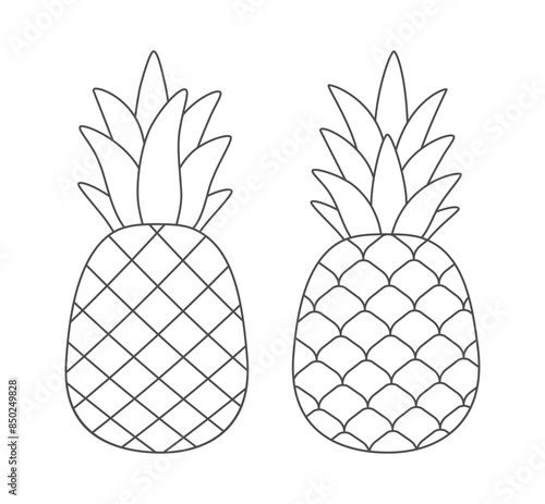 Pineapples. Black and white image. Page for coloring.