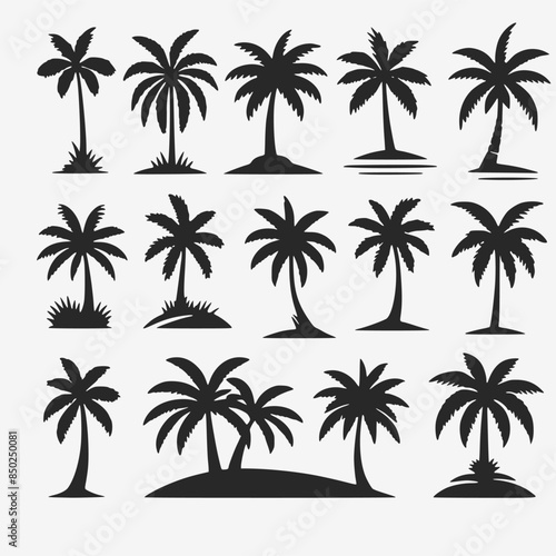 Palm Tree Set Vector Illustration for your tropical design  © Alienalgorithm