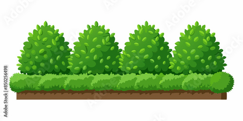 There is a line of green shrubs against a white backdrop in the image