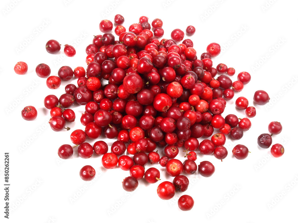 Preiselbeeren Preiselbeeren
