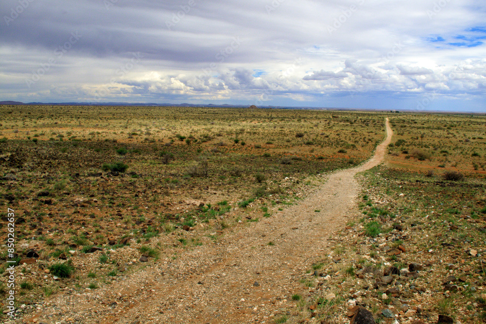 Kgalagadi Transfrontier Park one of the great parks of South Africa wildlife and hospitality in the Kalahari desert Kgalagadi Transfrontier Park one of the great parks of South Africa wildlife and hospitality in the Kalahari desert