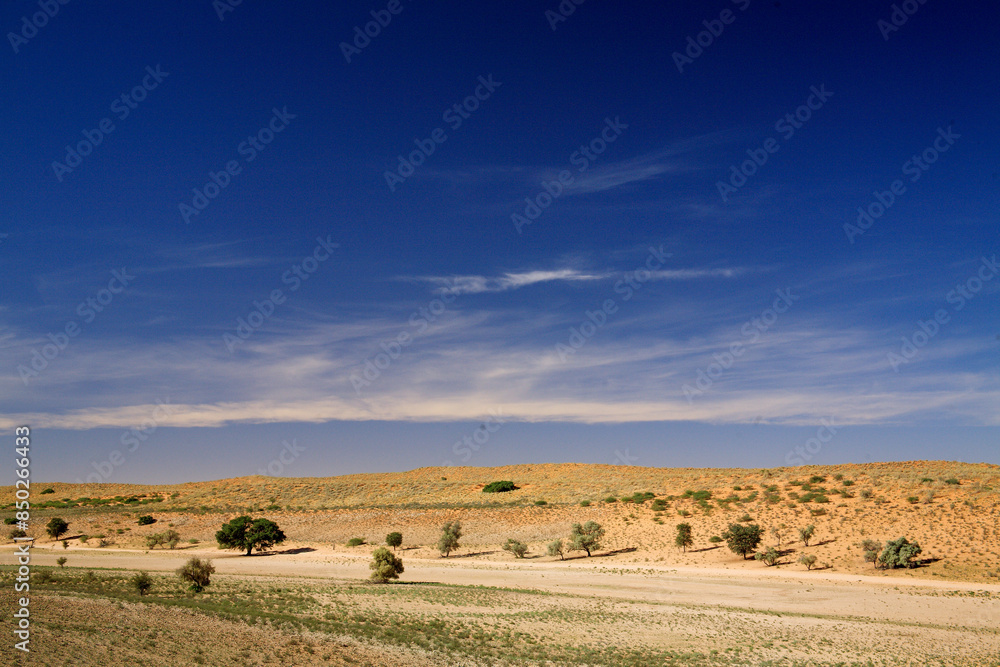 Obraz premium Kgalagadi Transfrontier Park one of the great parks of South Africa wildlife and hospitality in the Kalahari desert