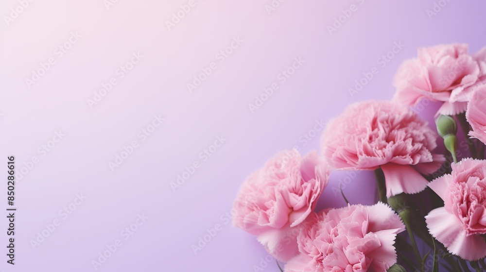 A peaceful floral arrangement with carnation whispers, pastel harmony, and delicate blooms. Soft pastel carnations create a serene setting. Good for spa images, mindfulness, and peaceful aesthetics. A peaceful floral arrangement with carnation whispers, pastel harmony, and delicate blooms. Soft pastel carnations create a serene setting. Good for spa images, mindfulness, and peaceful aesthetics.