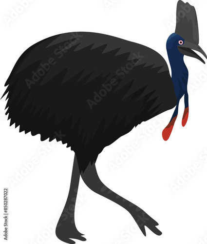 illustration of a cassowary, a rare bird from Indonesia