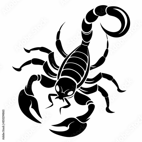 Vector coloring Scorpion for adults illustration. 